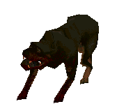 dog.gif (3426 bytes)